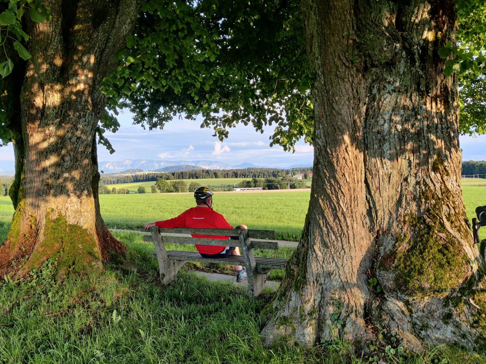 Pension Holzapfel St Georgen im Attergau Bagian luar foto