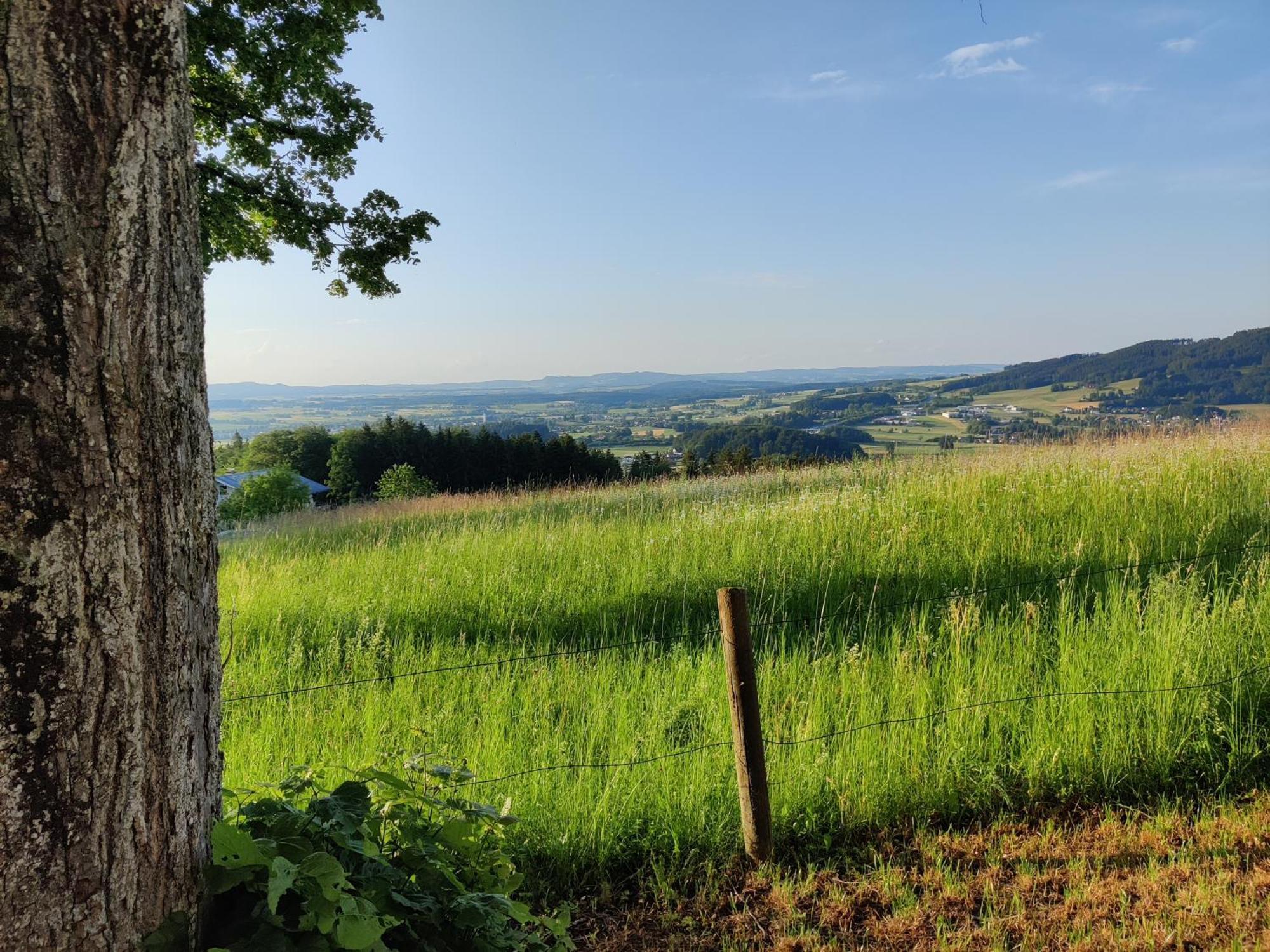Pension Holzapfel St Georgen im Attergau Bagian luar foto